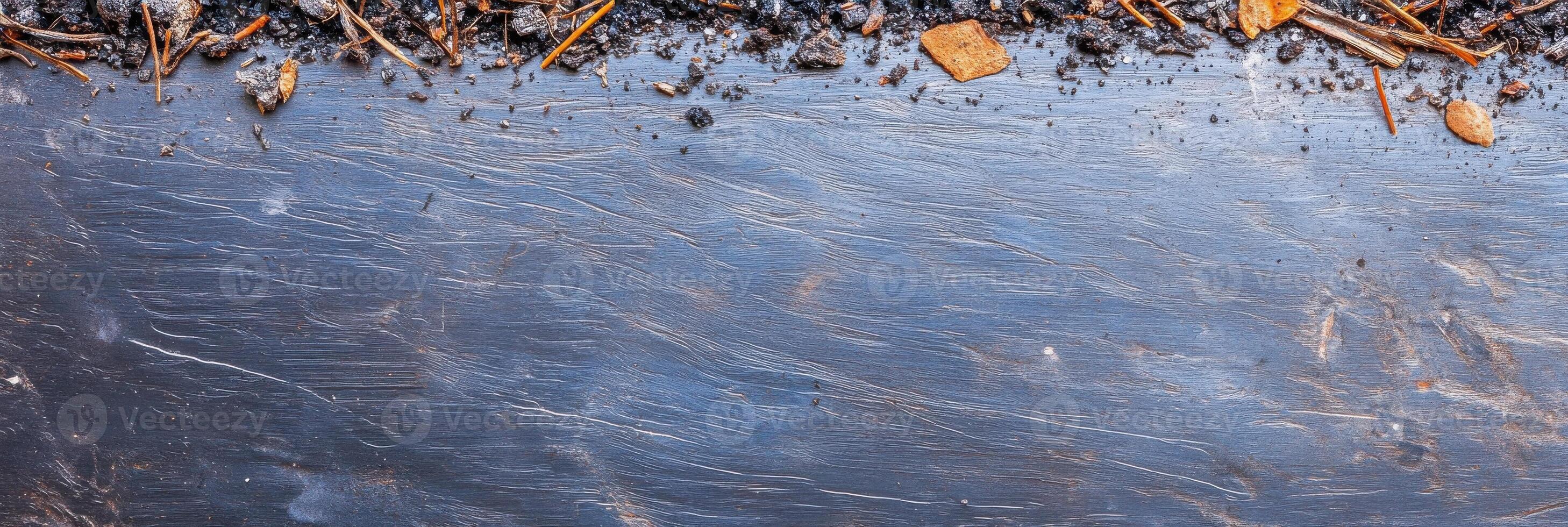 Textured earth and stone surface with organic debris and pine needles photo