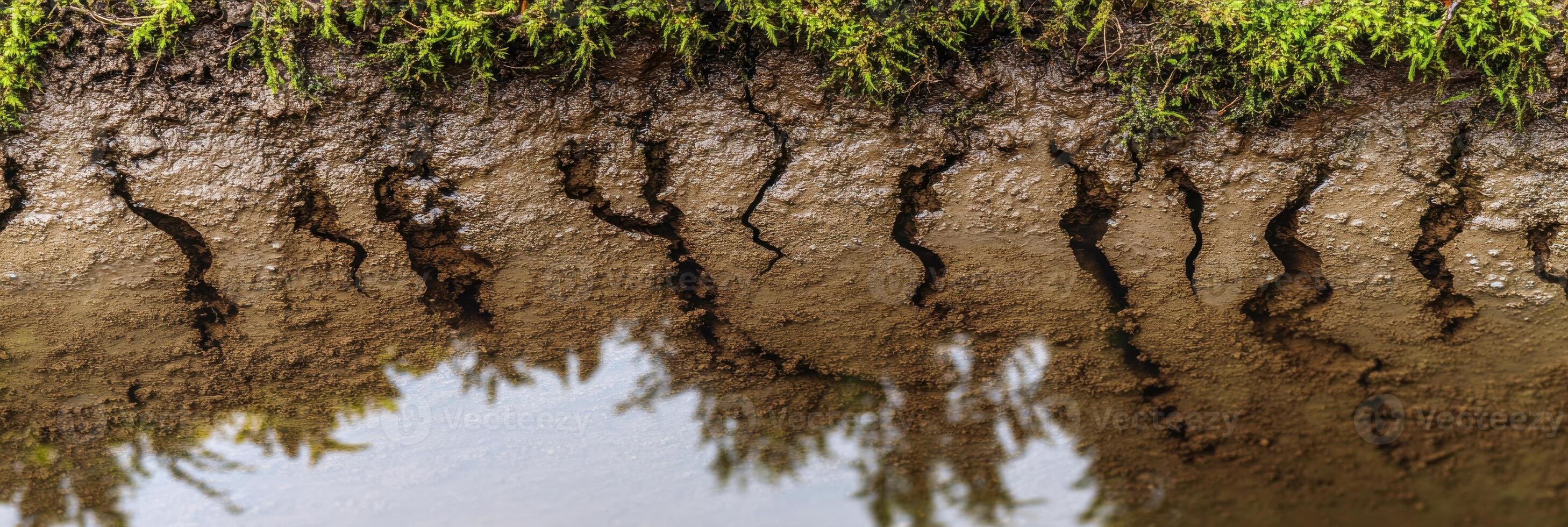Cracked earth and moss reflected in water mirror surface texture concept photo
