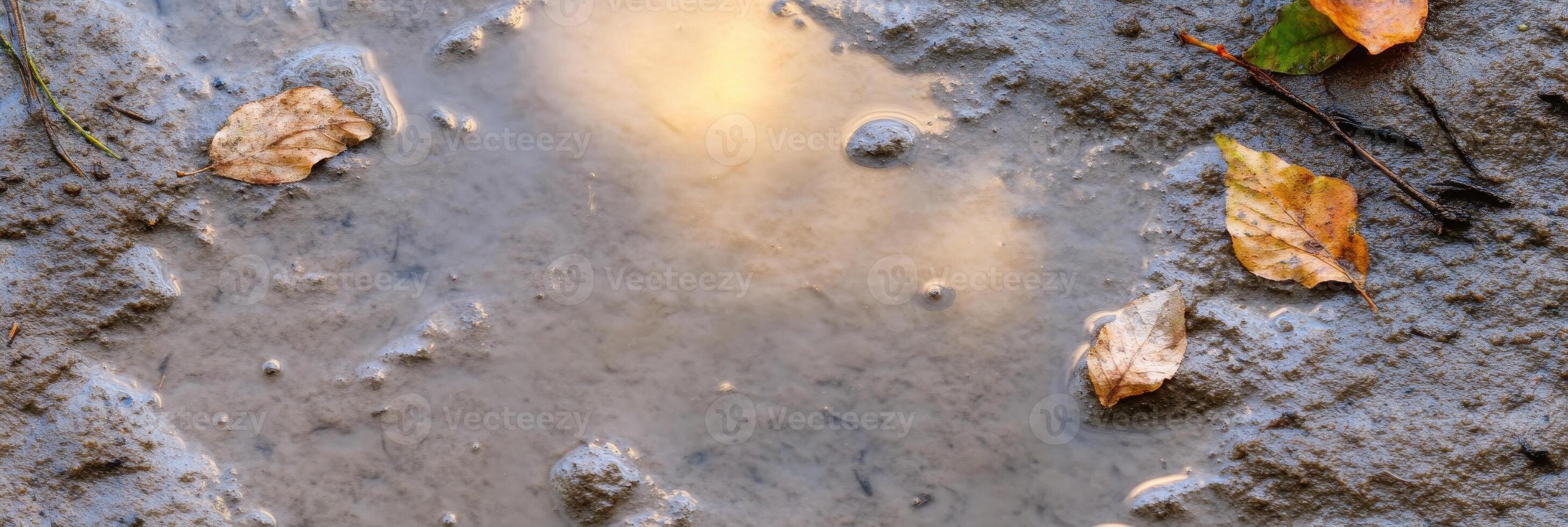 Autumn leaves on wet soil with reflective puddle element of nature concept photo