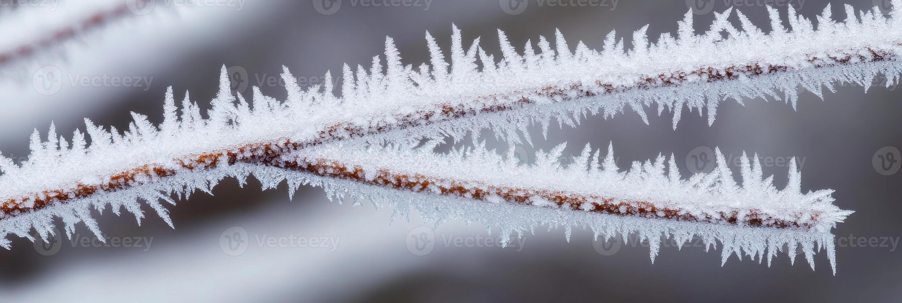 Branches covered in frosted ice crystals capturing winter's intricate beauty photo