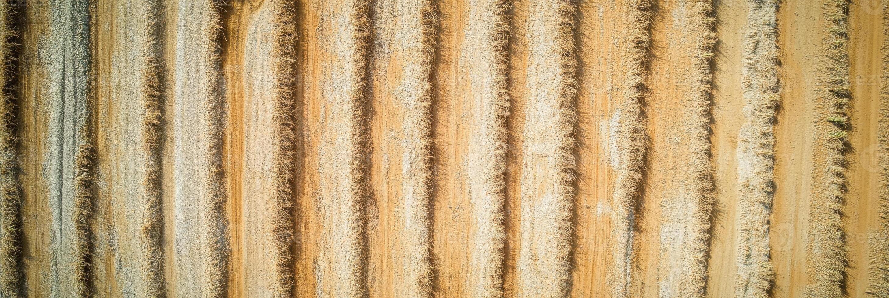 Aerial view of harvested wheat field with parallel lines and patterns photo