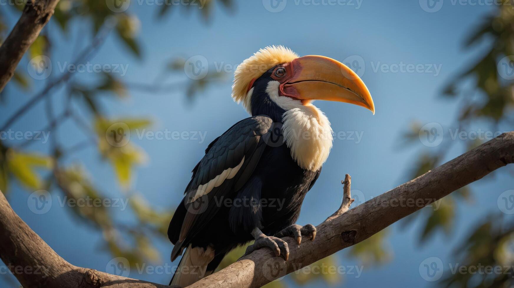 A hornbill perched on a branch, showcasing its vibrant beak against a blue sky. photo