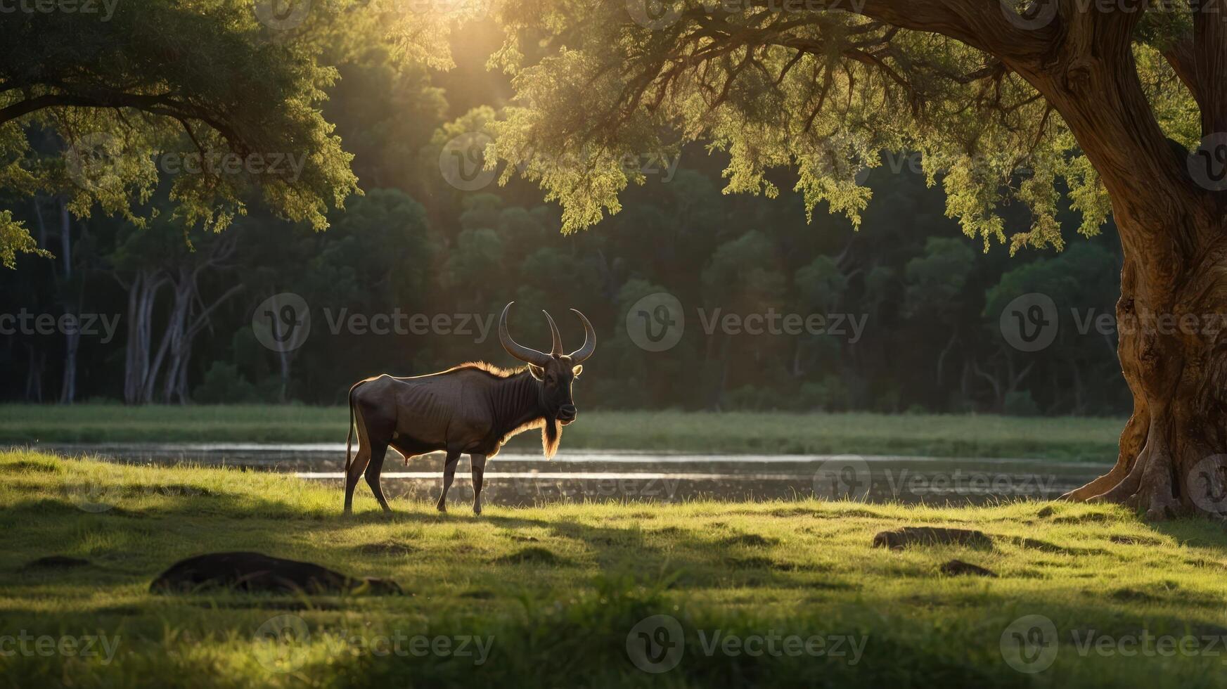 A serene landscape featuring a wildebeest by a tranquil water body, illuminated by sunlight. photo