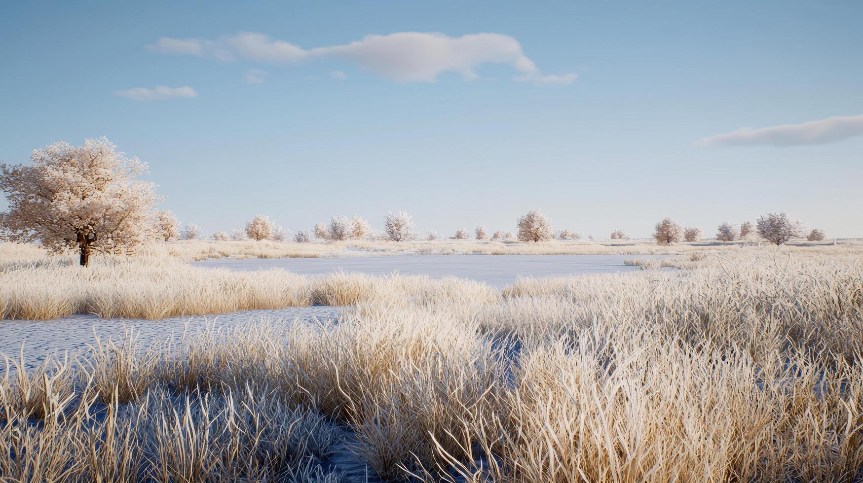 Serene Winter Landscape Frosty Grass Snow Covered Trees and Frozen Pond photo