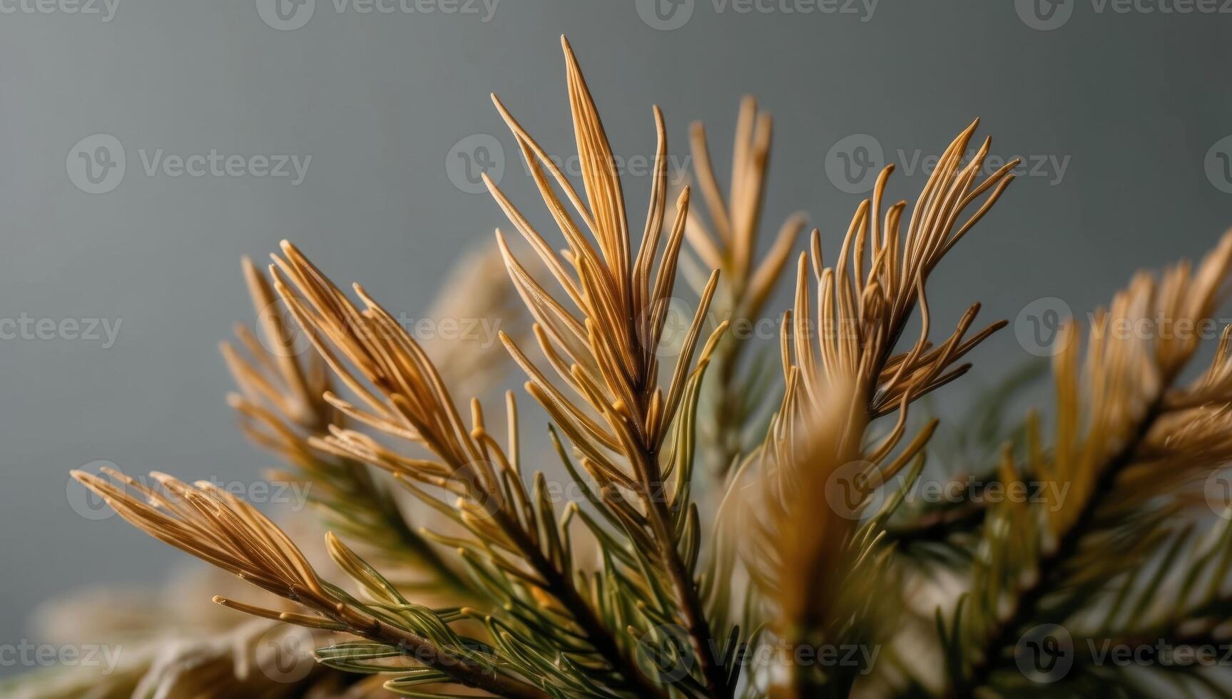 Eco-friendly paper and packaging alternatives made from pine needle fibers highlight sustainability and innovation in material use. photo