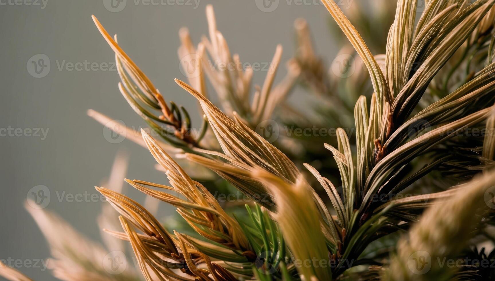 Pine needle fibers, an eco-friendly alternative, are used to create sustainable paper and packaging solutions that benefit the environment. photo
