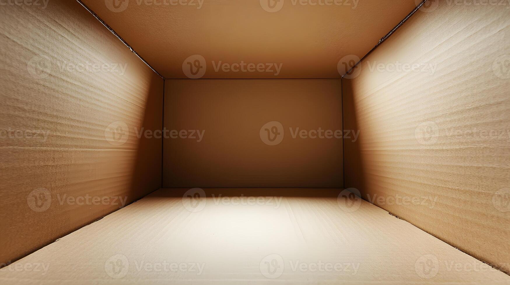 Inside an Empty Cardboard Box Showing Texture and Light photo