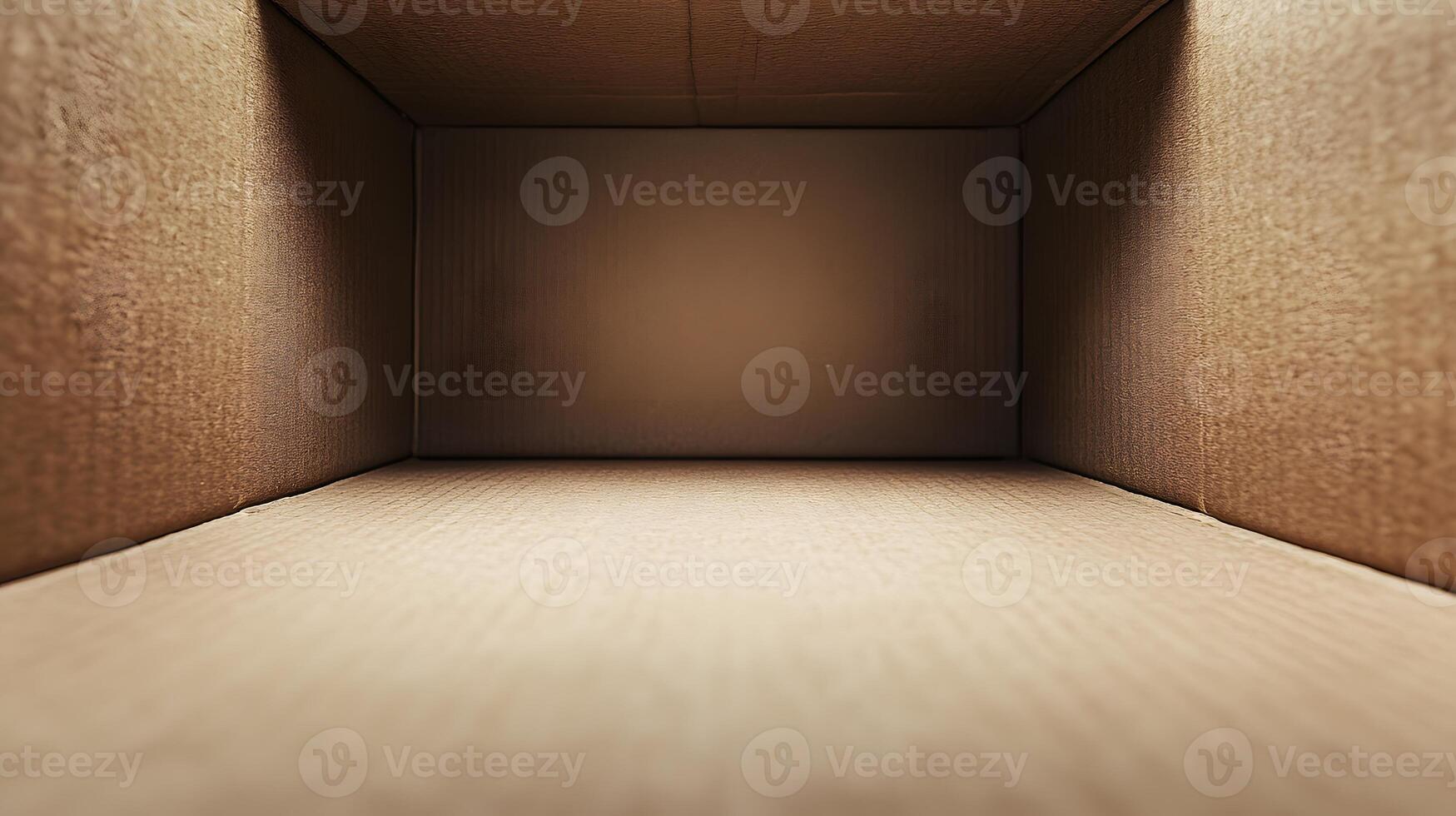 Inside View Of An Empty Cardboard Box photo