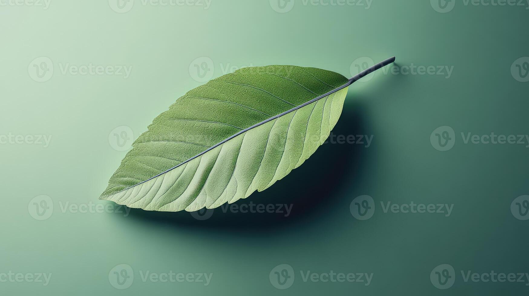 Realistic 3D Leaf Icon with Shadow Natural Beauty Visualized photo