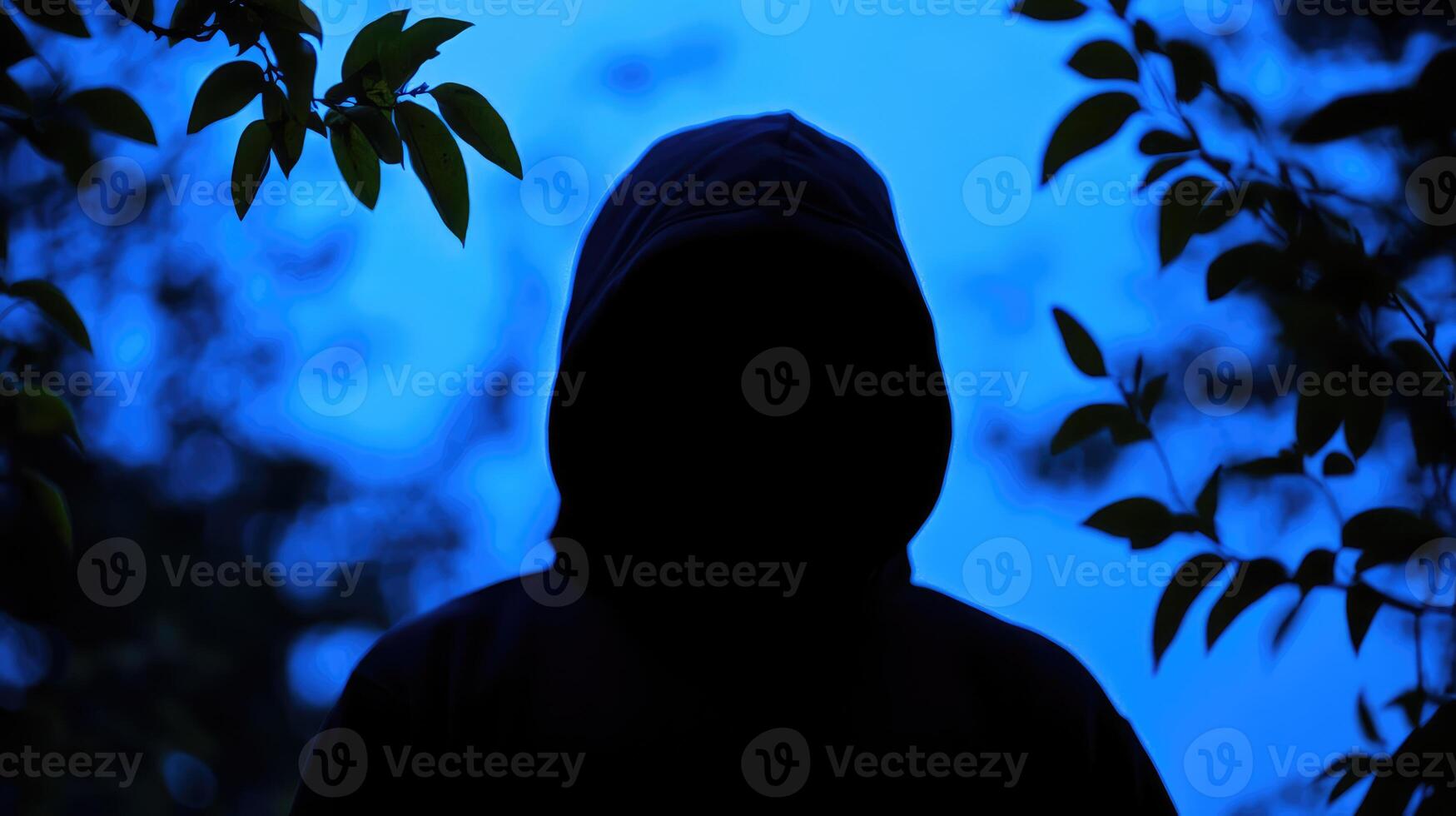 Silhouetted figure in hoodie basks in serene nocturnal ambiance photo