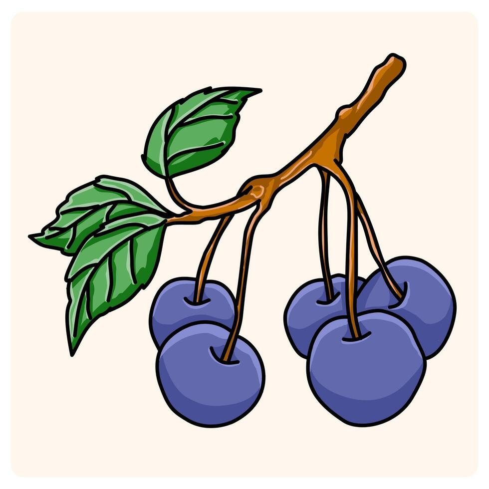 Fresh Blueberries on the Branch with doodle style drawing vector