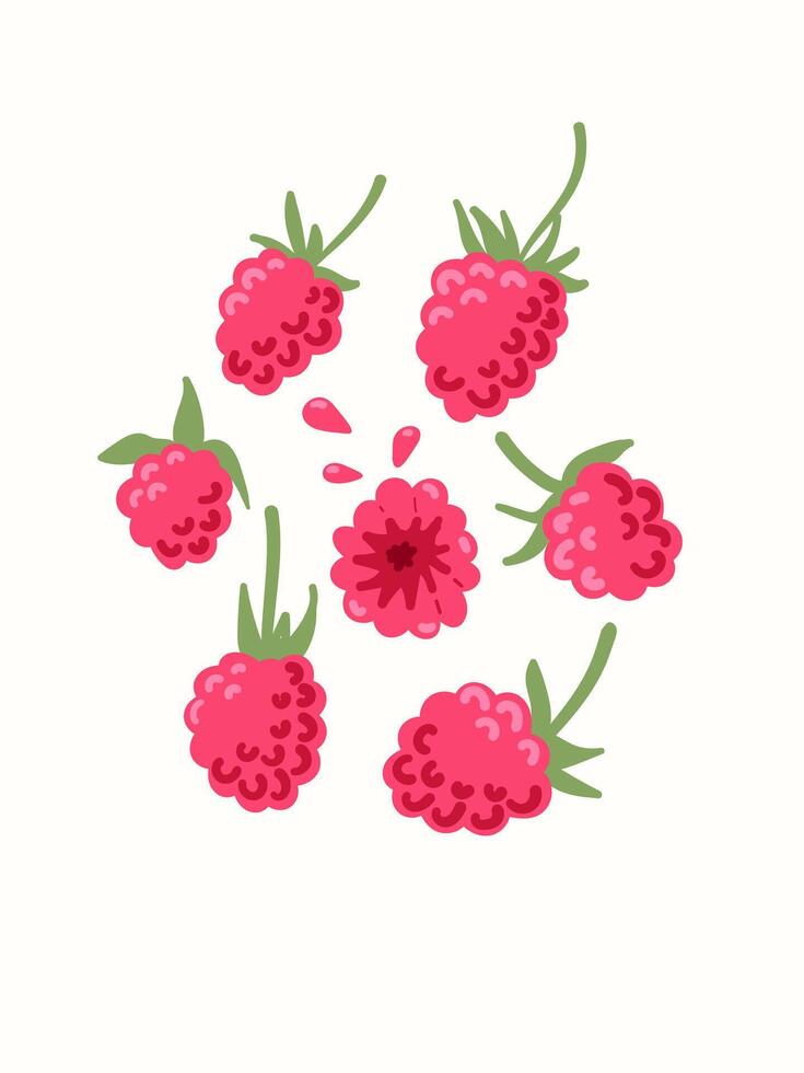 Abstract raspberries fruits in modern artistic styles. Great for posters, cards, covers, and trendy t-shirt designs. vector