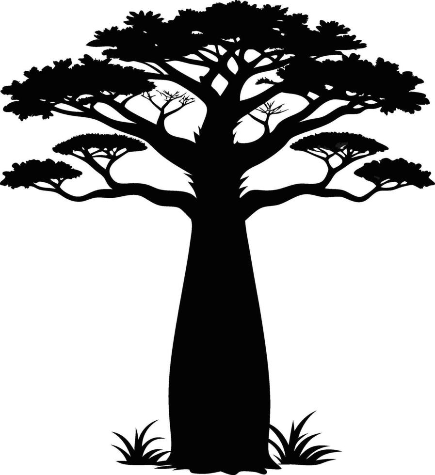 Baobab Tree Silhouette vector