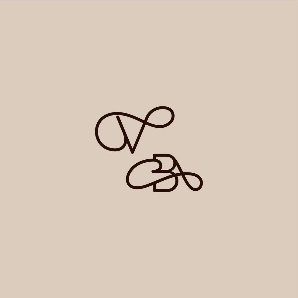 luxurious organic style and elegant concept VB wedding typography monogram letter dynamic line initial vector