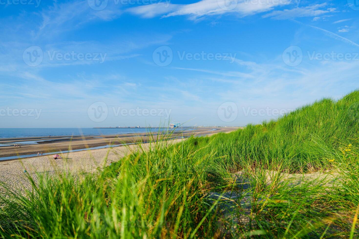 Stunning Green Grassy Sand Dune with Panoramic View of a Beautiful Beach and Deep Blue Ocean photo