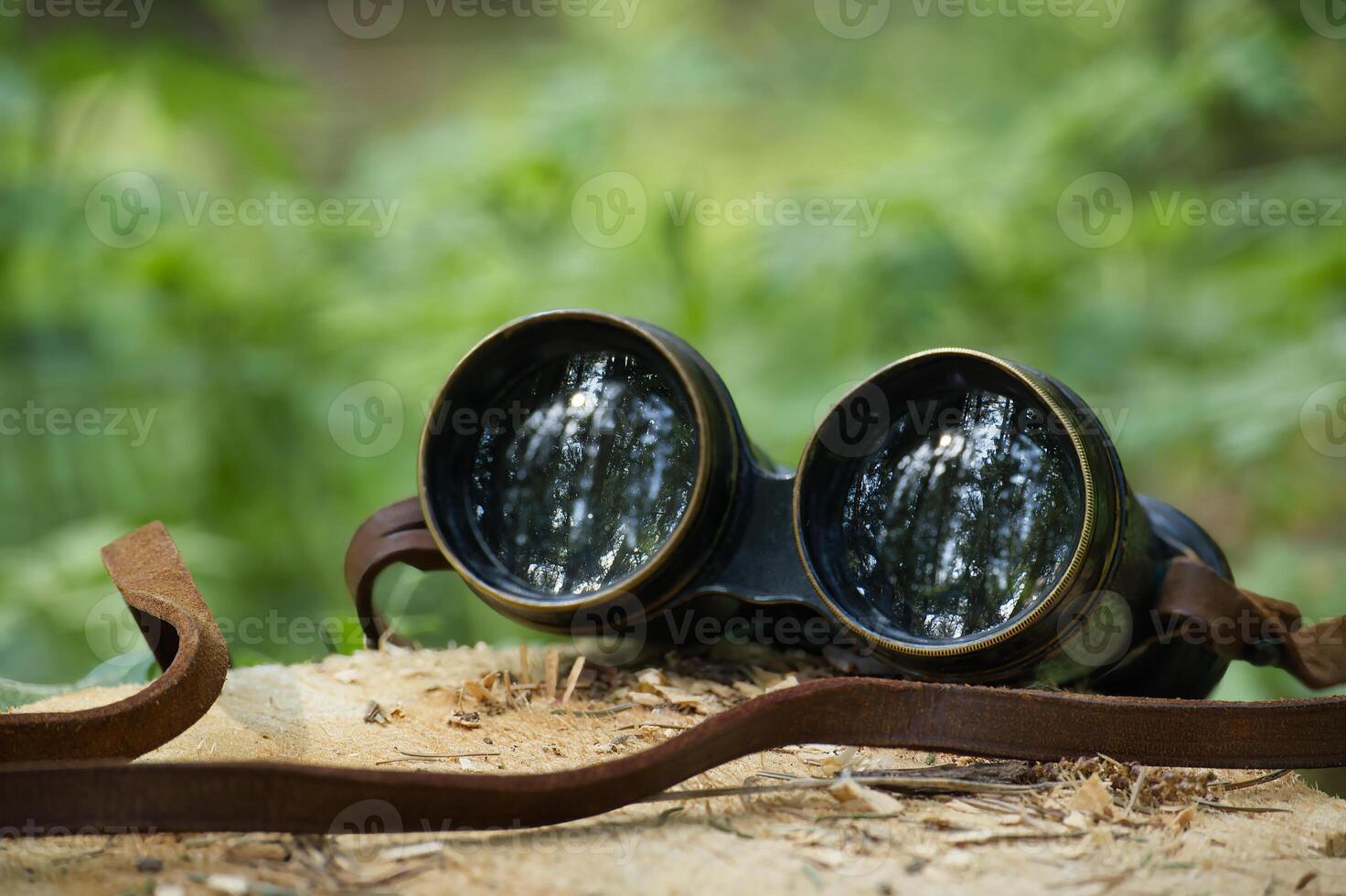 Vintage binoculars resting on tree trunk in forest reflecting trees photo