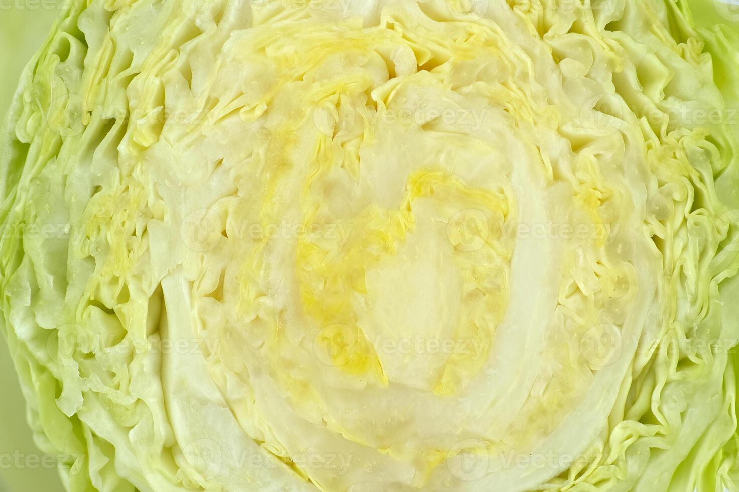 Close-Up of Fresh Green Cabbage Showing Detailed Leaf Textures photo
