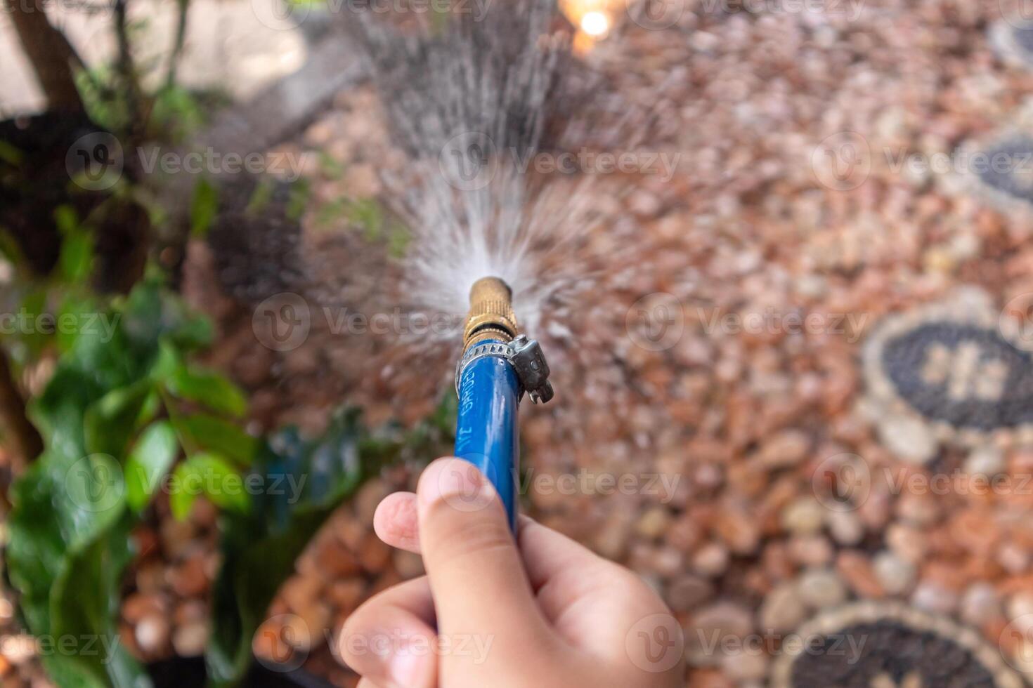 Hand holding blue water hose for watering plants in the front yard of the house photo