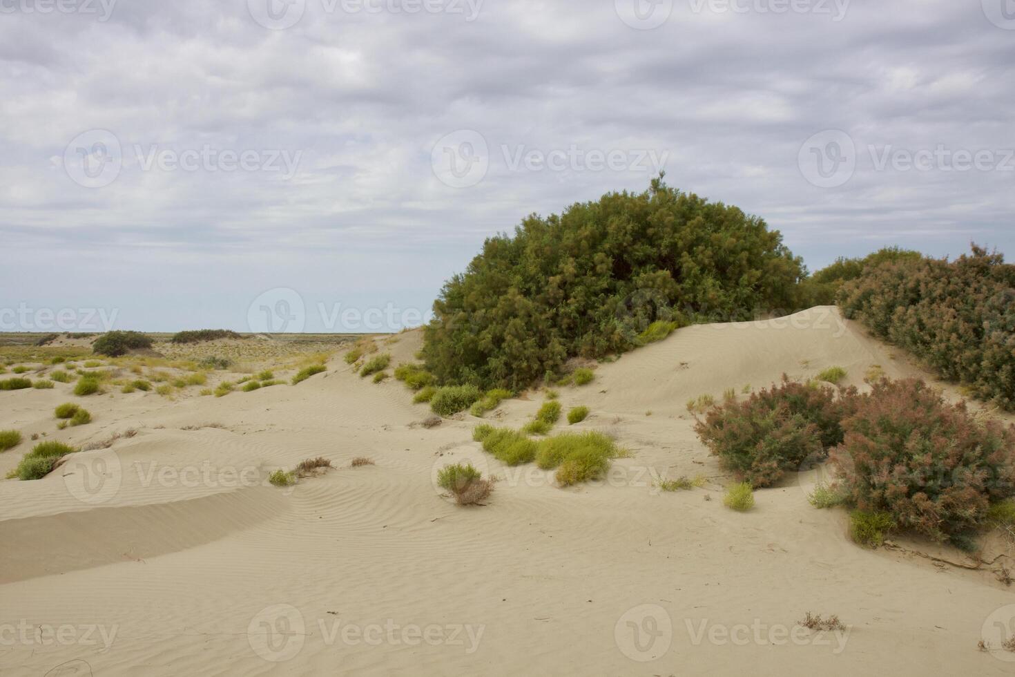Roadless to Karaozek, Lake Balkhash. Kazakhstan. photo