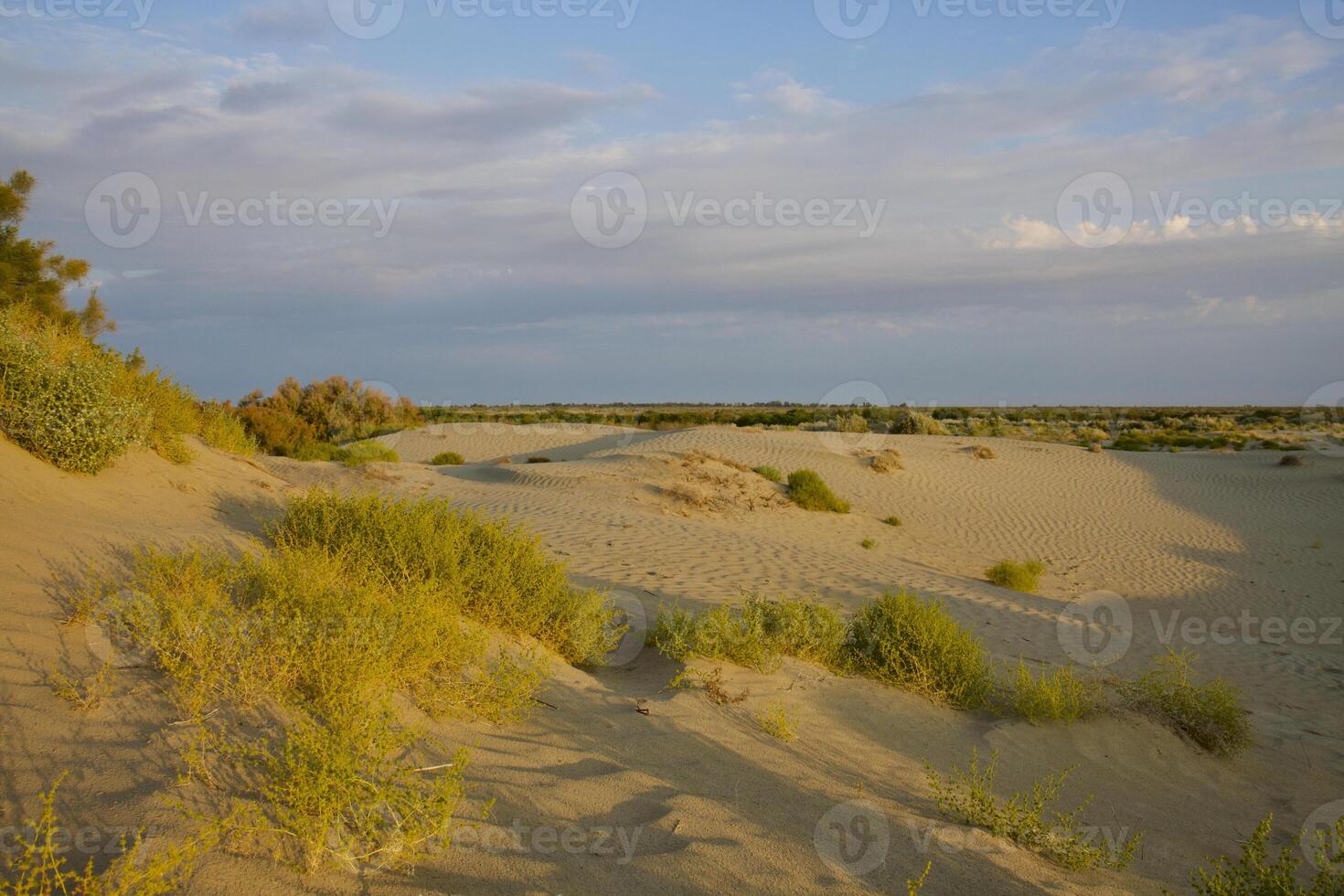 Roadless to Karaozek, Lake Balkhash. Kazakhstan. photo
