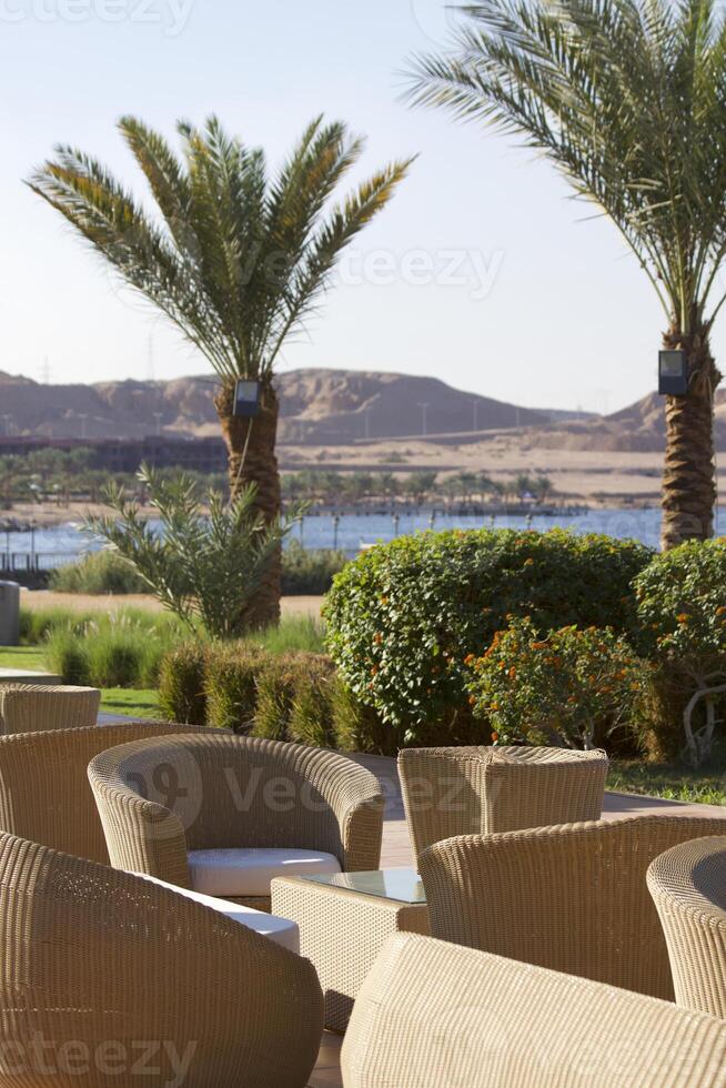 Relax on the beach with umbrellas and sun loungers photo
