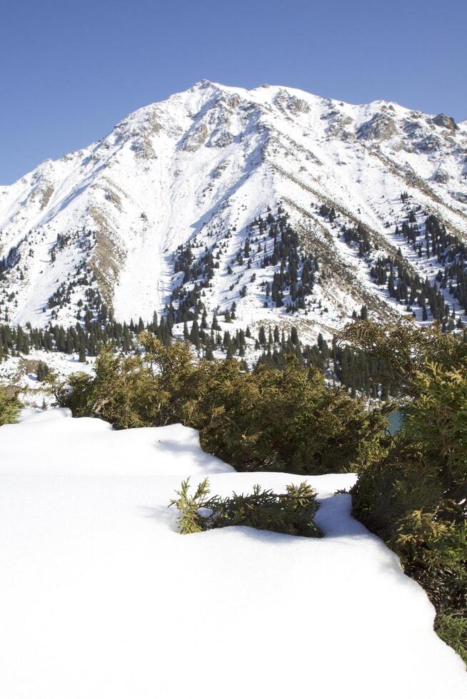 A snowy mountain with a clear blue sky photo