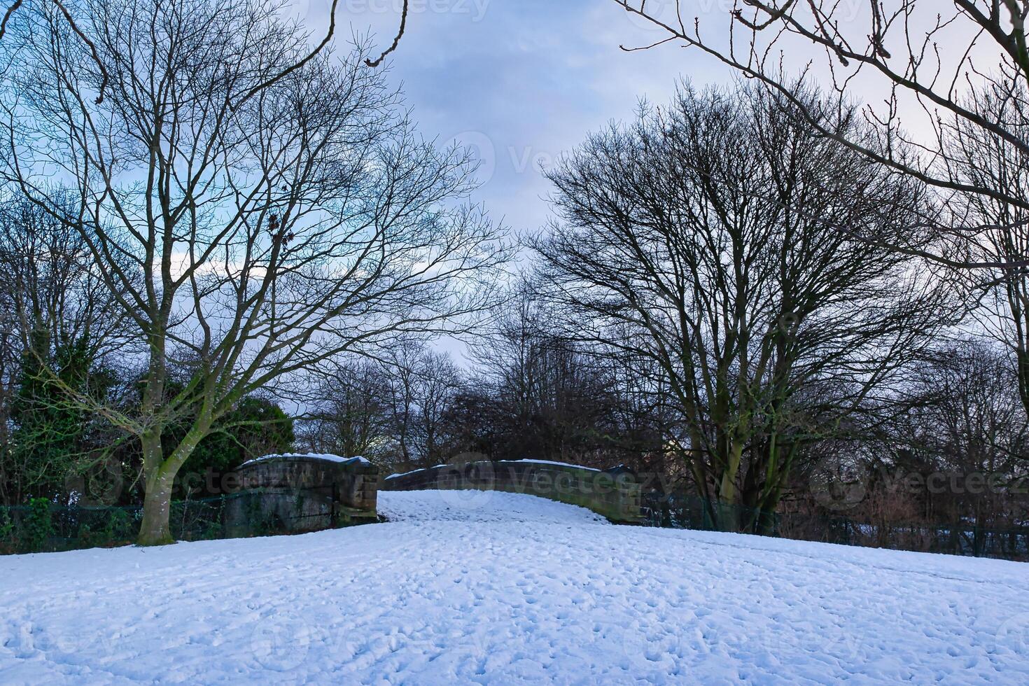 Snow-Covered Landscape with Stone Bridge and Deciduous Trees in Harrogate, UK. photo