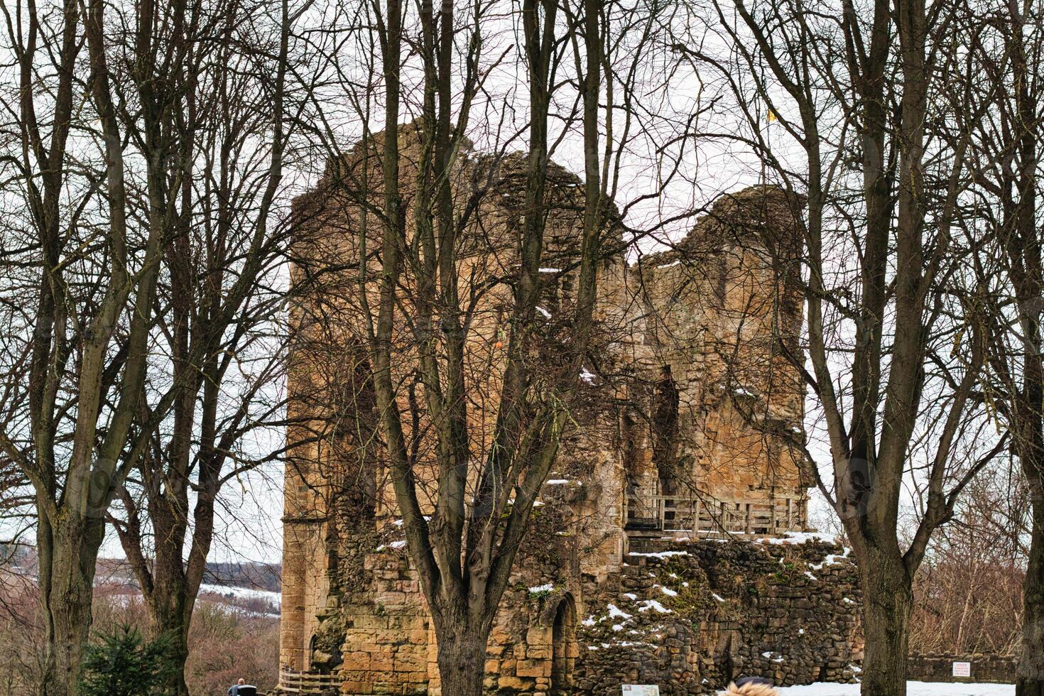 Stone Castle Ruin Viewed Through Winter Trees in Knaresborough, UK photo