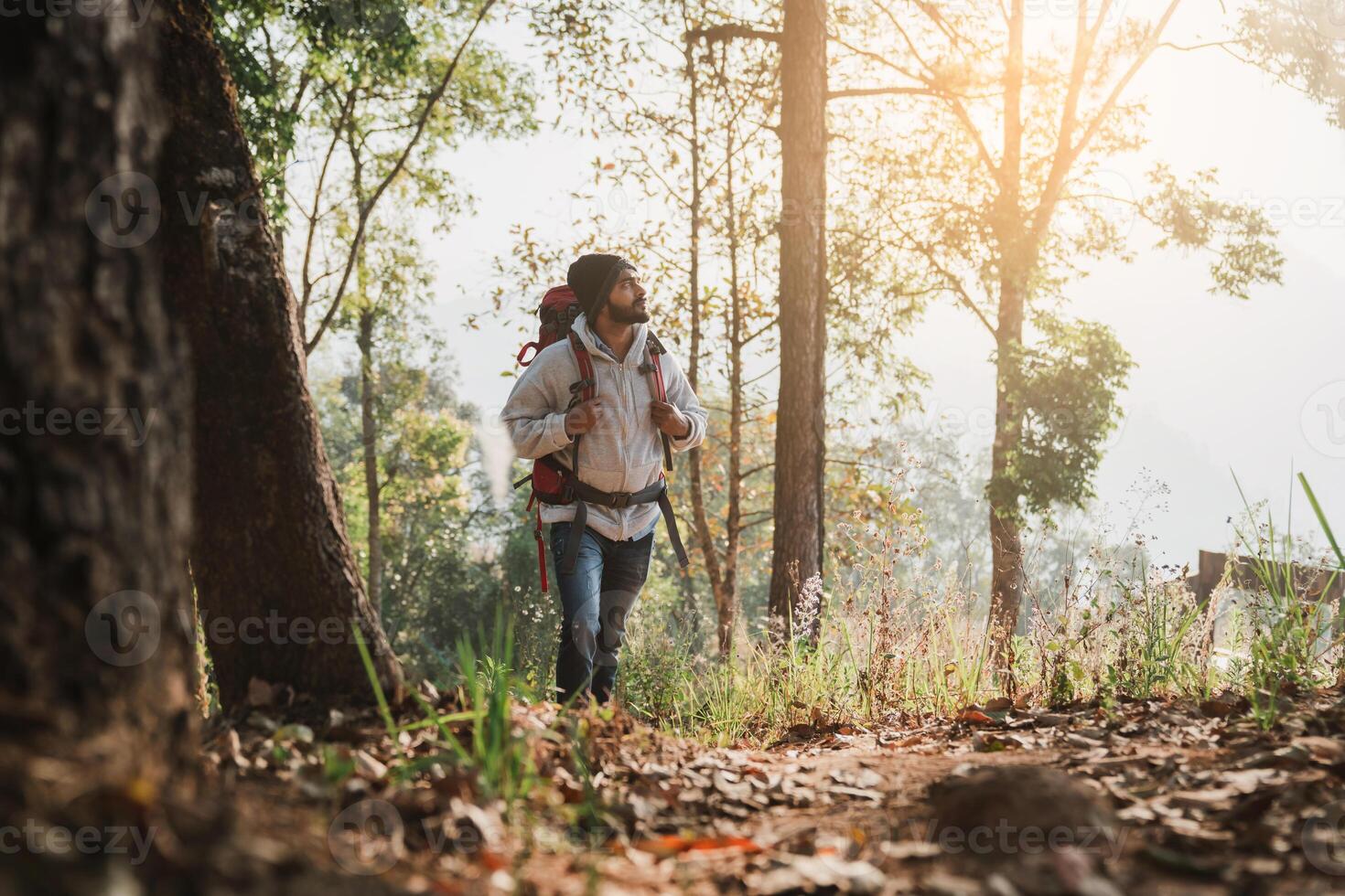 Nature explorers stroll through a woodland, their journey fueled by curiosity and wonder. photo