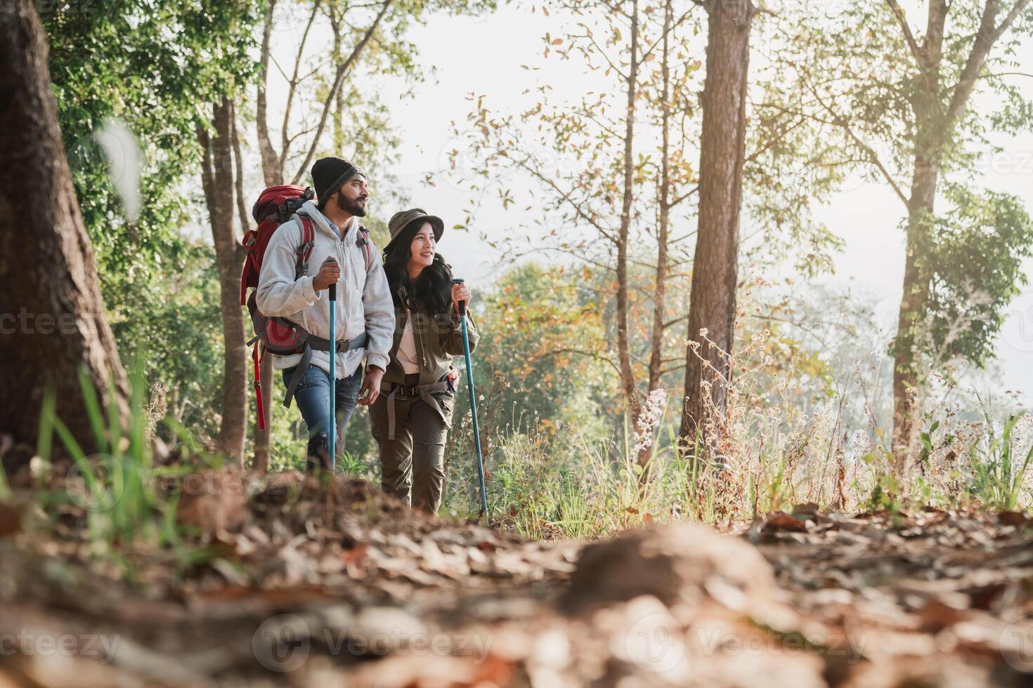 Outdoor adventurers walk through a wooded landscape, backpacks filled with essentials. photo