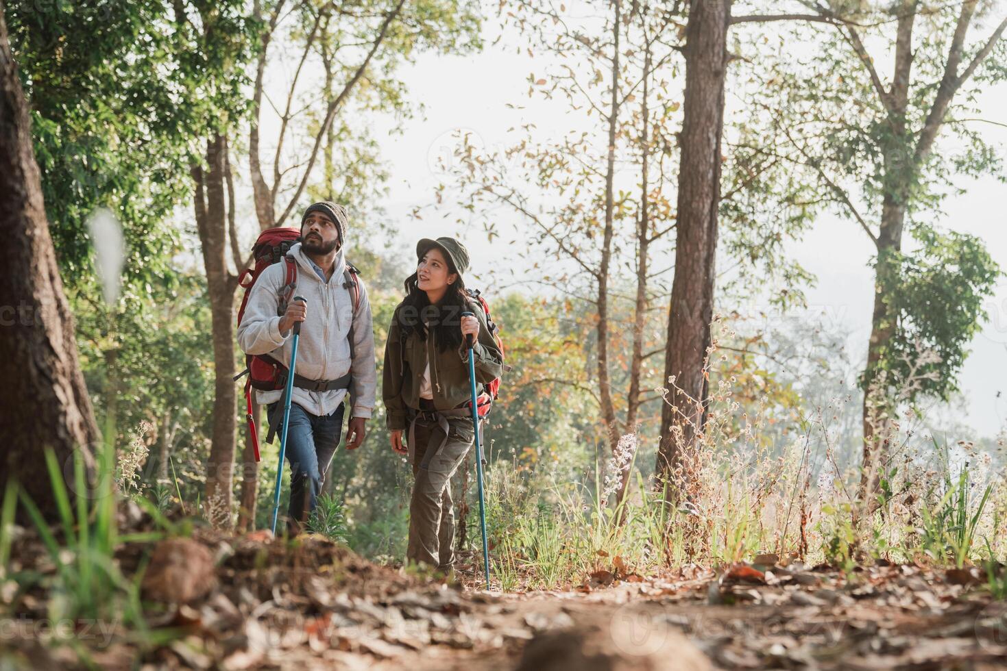 Backpackers trek through a forest, stopping to observe the plants and wildlife they encounter. photo