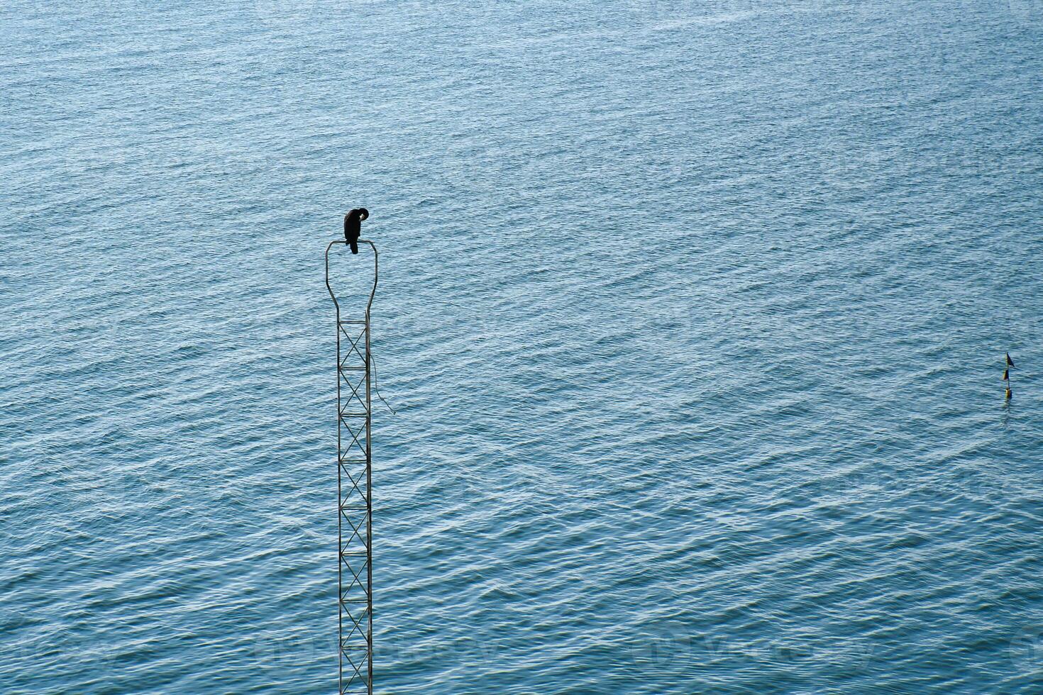 A black cormorant bird on a metal, narrow structure above a calm water photo