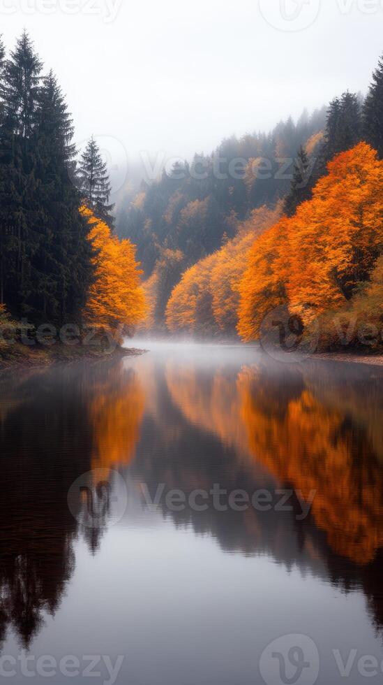 misty river reflects vibrant autumn trees in serene beauty photo