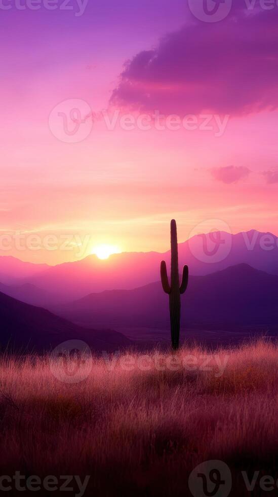 serene desert landscape with cactus at sunset photo