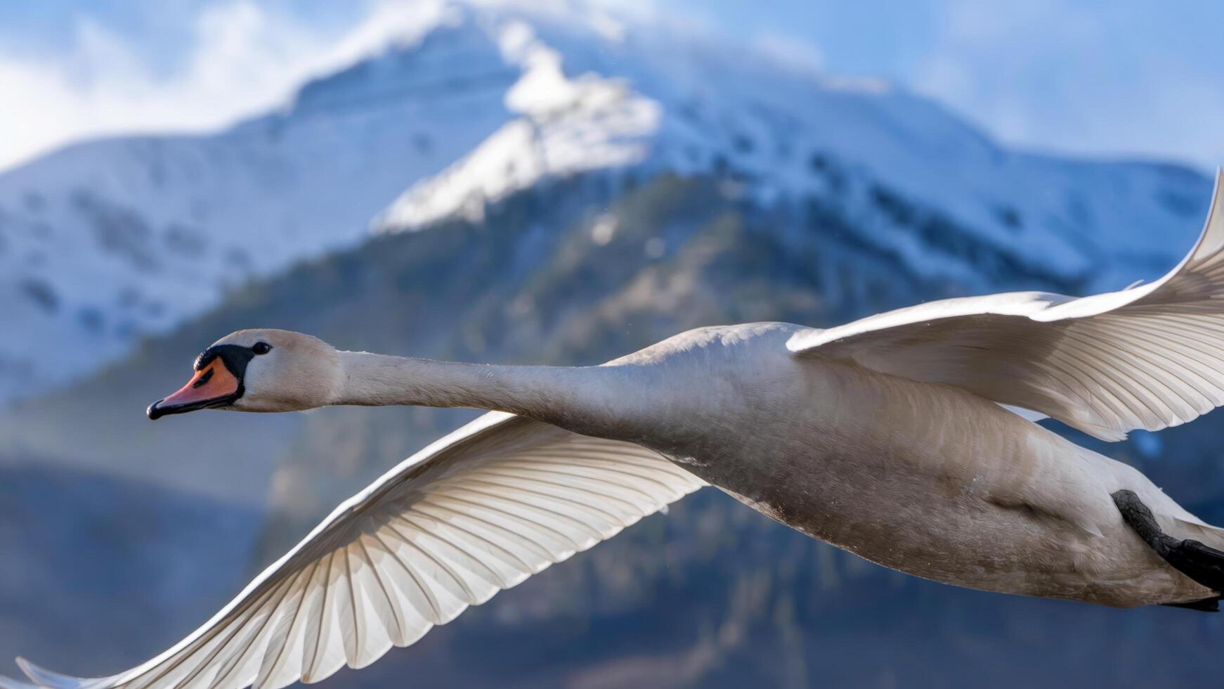 Majestic swan in mid-flight, wings outstretched against a backdrop of towering mountains. Powerful nature concept. photo