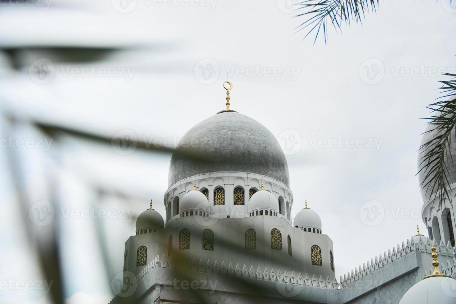 Elegant Sheikh Zayed Grand Mosque Dome Architecture Surrounded by Palm Leaves on Cloudy Day photo