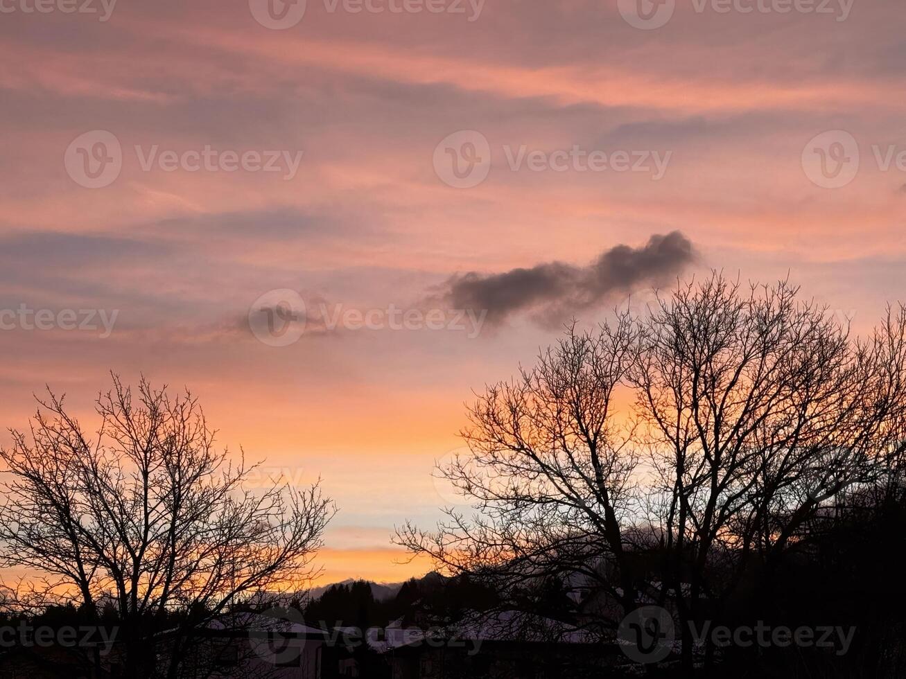 Vibrant winter sunset over snowy landscape with bare trees photo