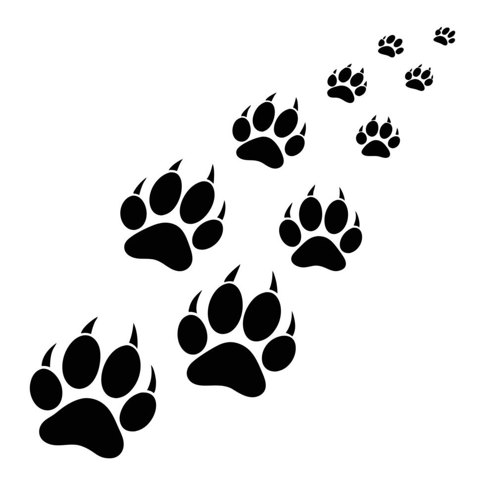 animal footprints illustration. vector