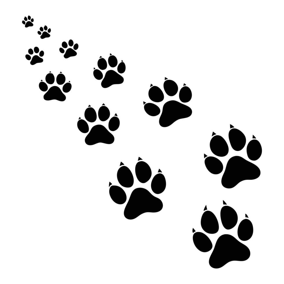 dog paw prints illustration. vector