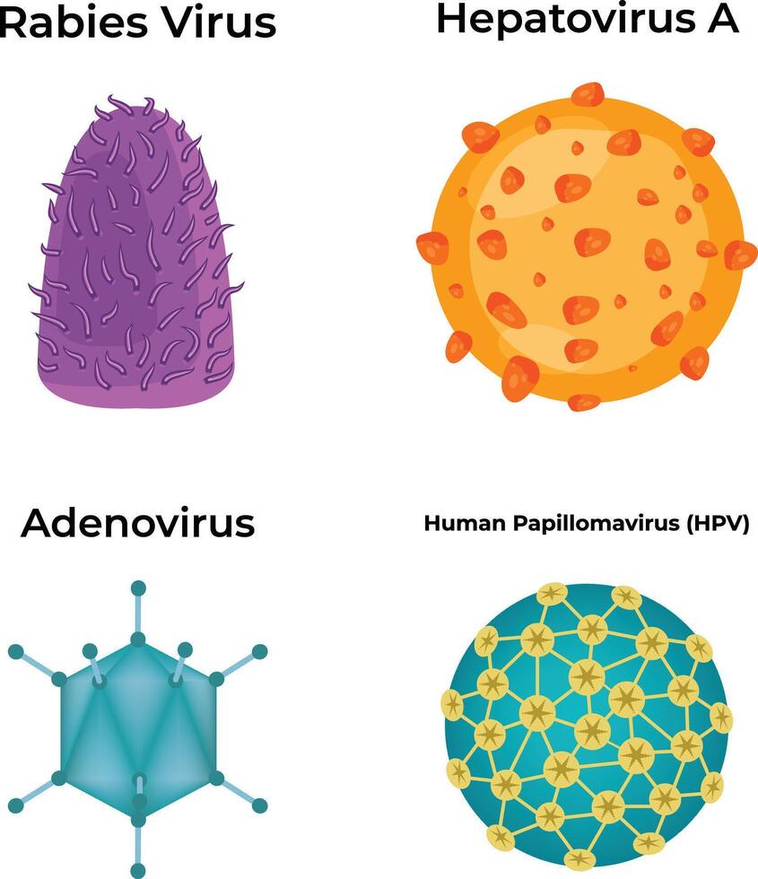 Virus Design Illustration vector