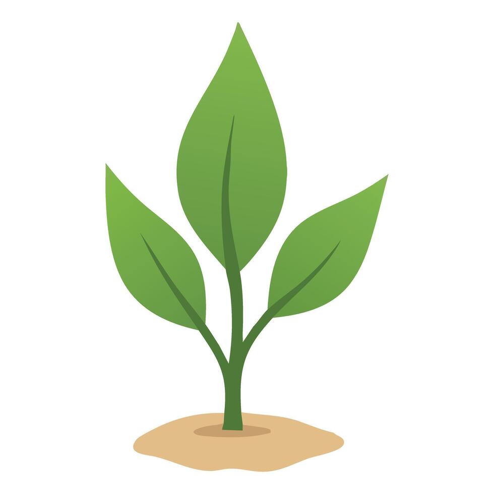 Green Plant Growth Illustration Nature and Sustainability Concept vector