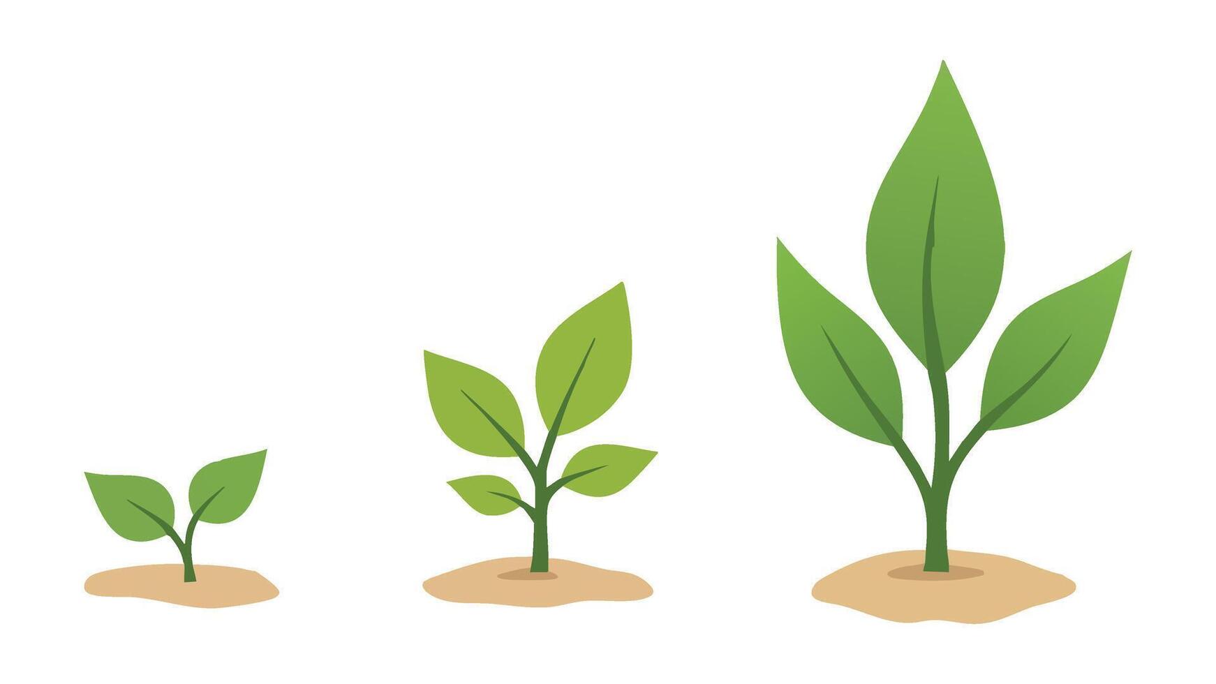 Three-Step Plant Growth Illustration Nature Concept with Green Leaves and Soil vector
