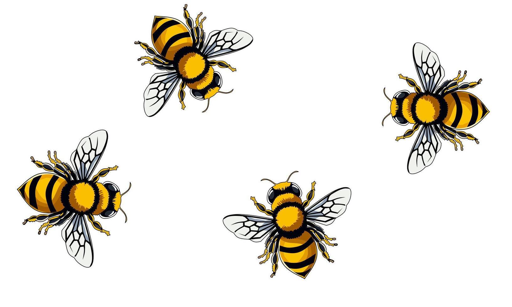 Honey Bee Icon Close Up Isolated on White Background. Queen Honey Bee Design Template vector