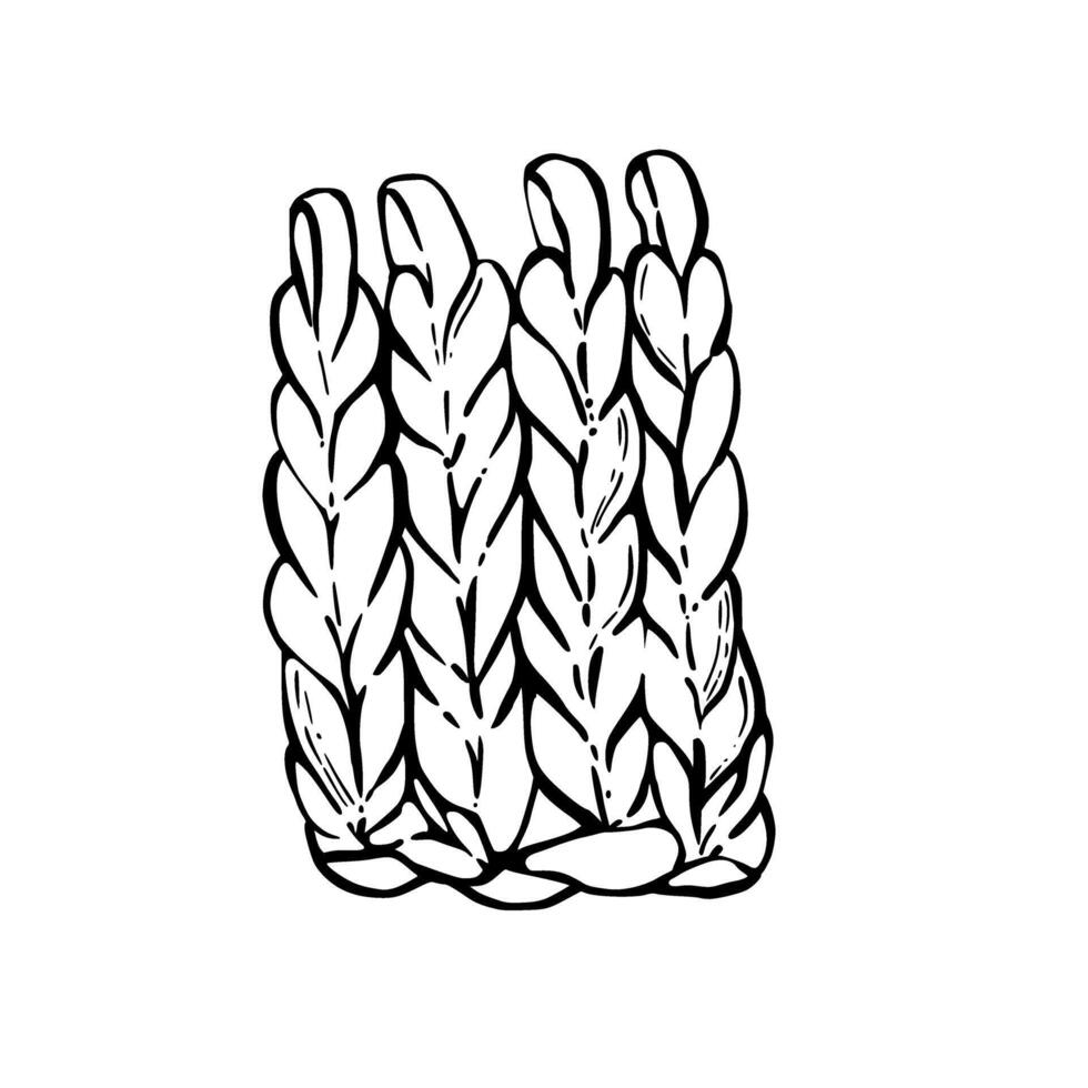Knitted or crocheted hobby items. Hand knit element. Hand drawing black and white line art illustration for handmade, hobby Knitting handicraft product design print isolated from background vector