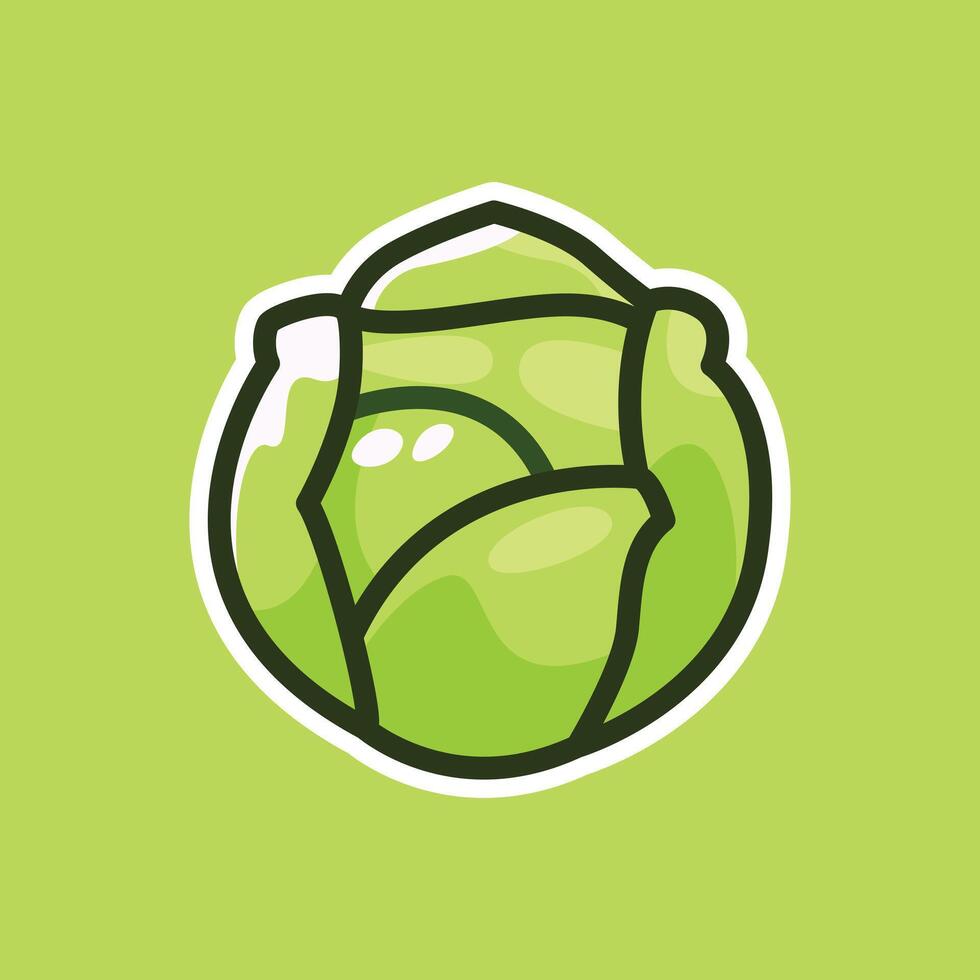 Fresh Green Cabbage Illustration on Green Background. Hand Drawn Isolated Illustration vector
