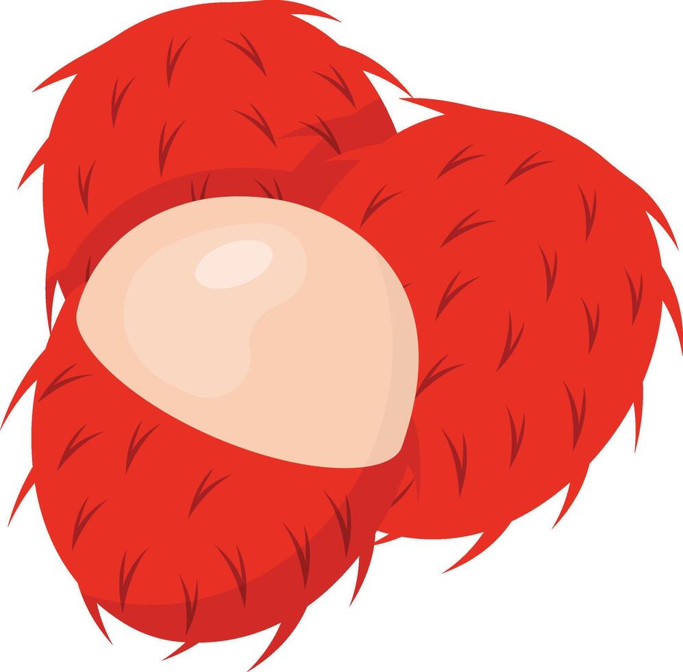 Rambutan Fruit Cartoon Ilustration Design vector
