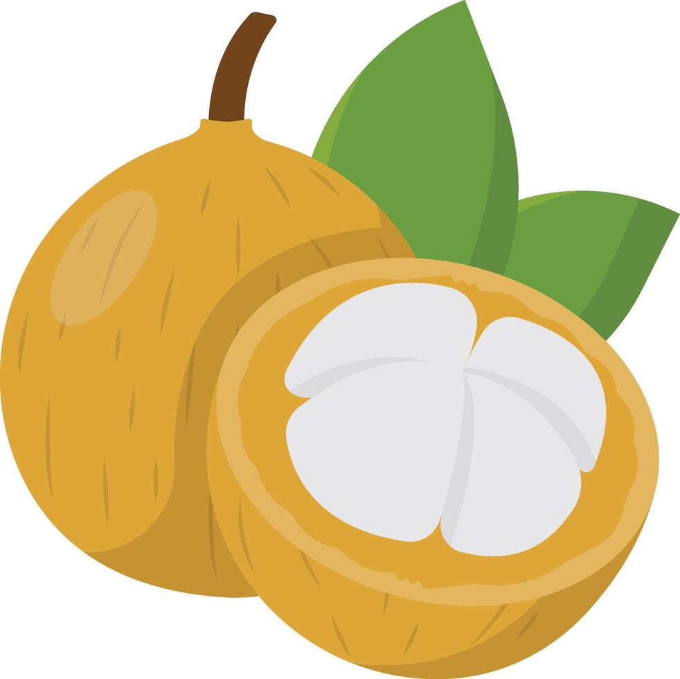 Santol Fruit Cartoon Ilustration Design vector