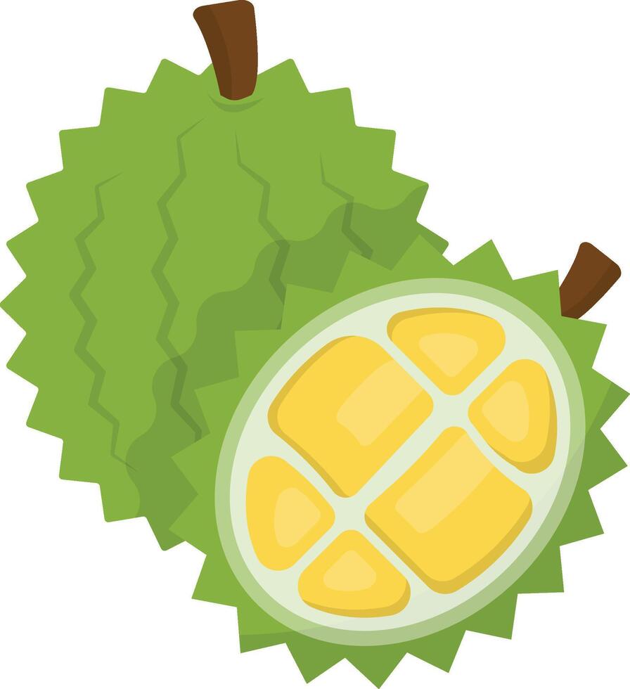 Durian Fruit Cartoon Ilustration Design vector