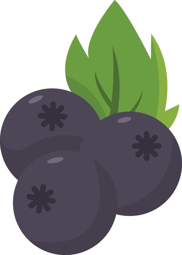 Elderberry Fruit Cartoon Ilustration Design vector
