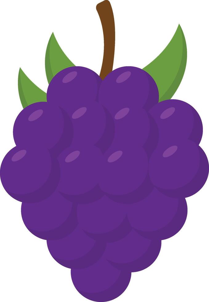 Backberry Fruit Cartoon Ilustration Design vector